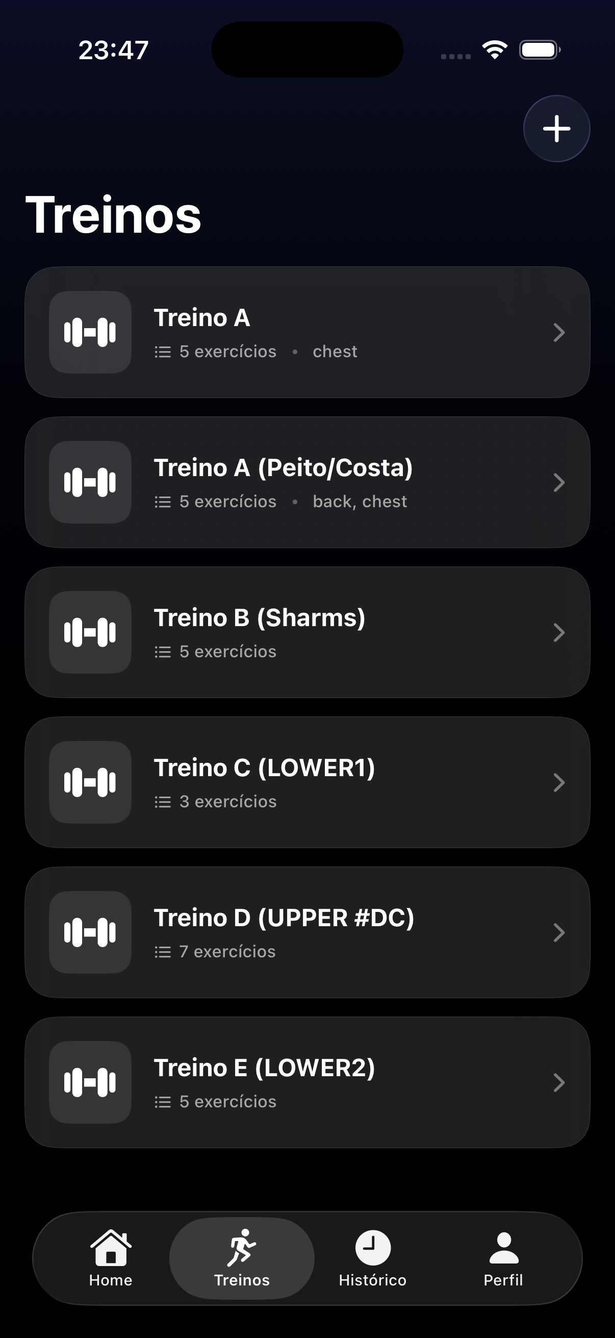 Lista de treinos do usuário